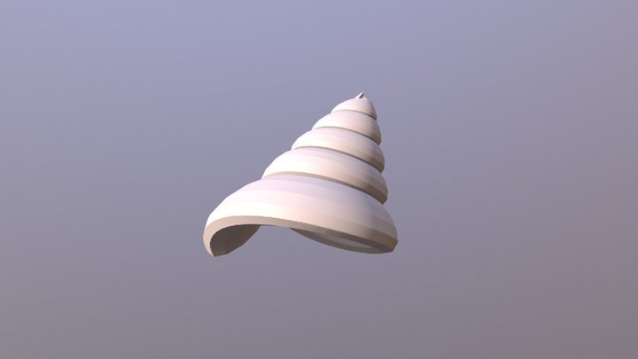 Shell 3D Model