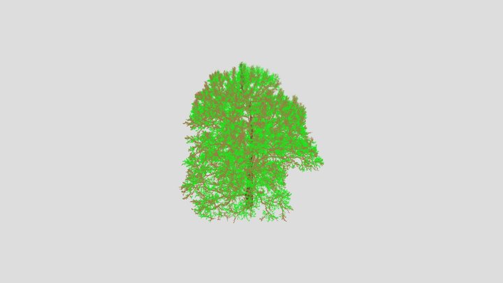 Tree 0001 3D Model