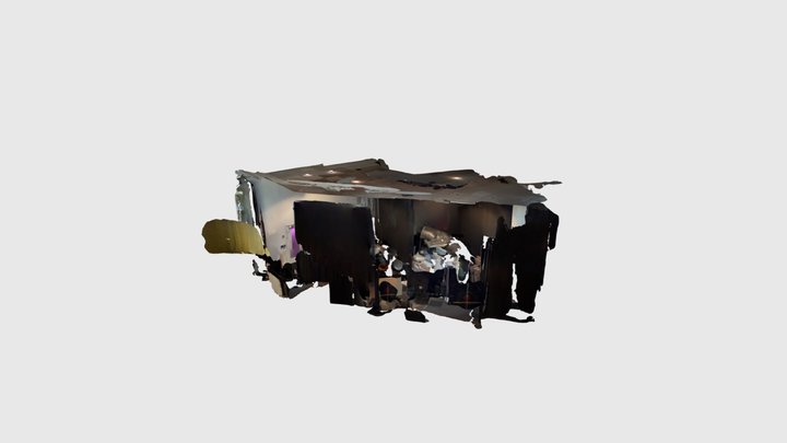 Scaniverse Model 3D Model