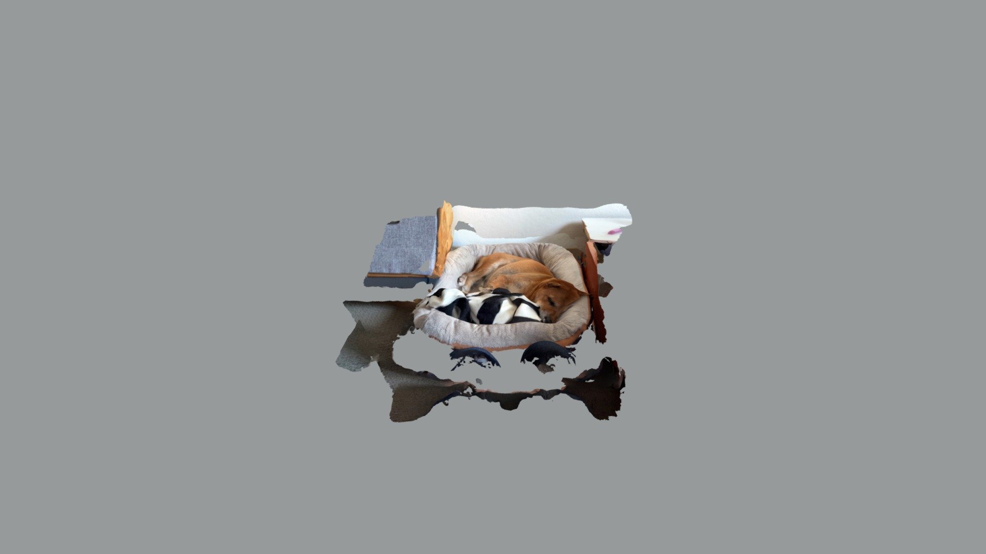 Sleeping Chiro