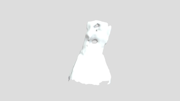25.04.2022_skan_01 3D Model