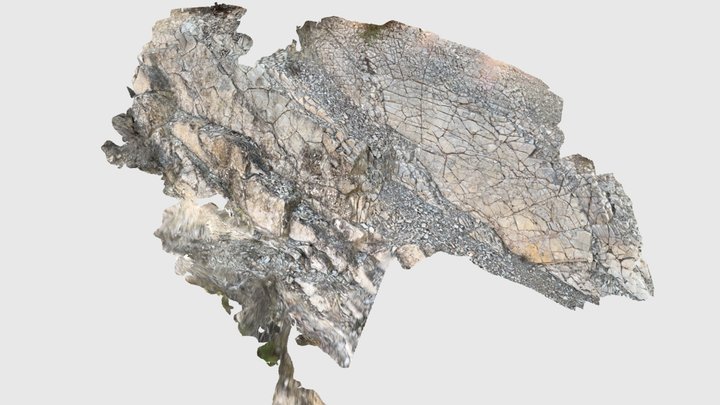 Affleurement à la carrière de La Vineuse 3D Model