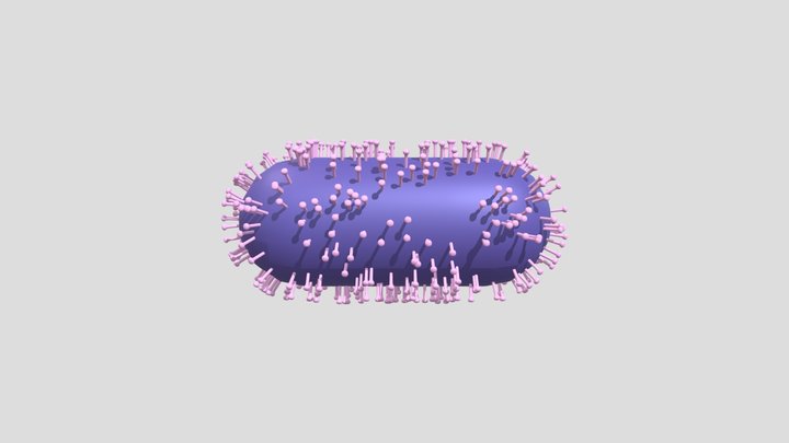 Rabies 3D Model