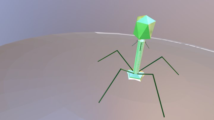 Bacteriophage Copy 3D Model