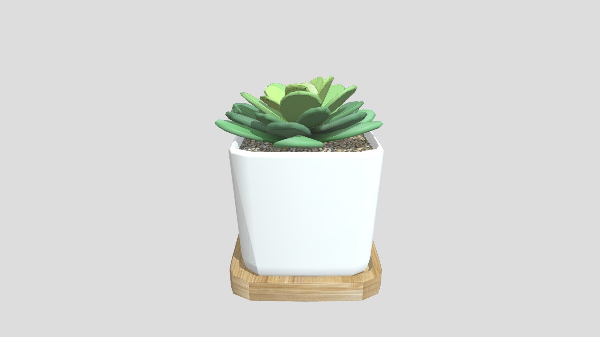 Succulentsketchfab