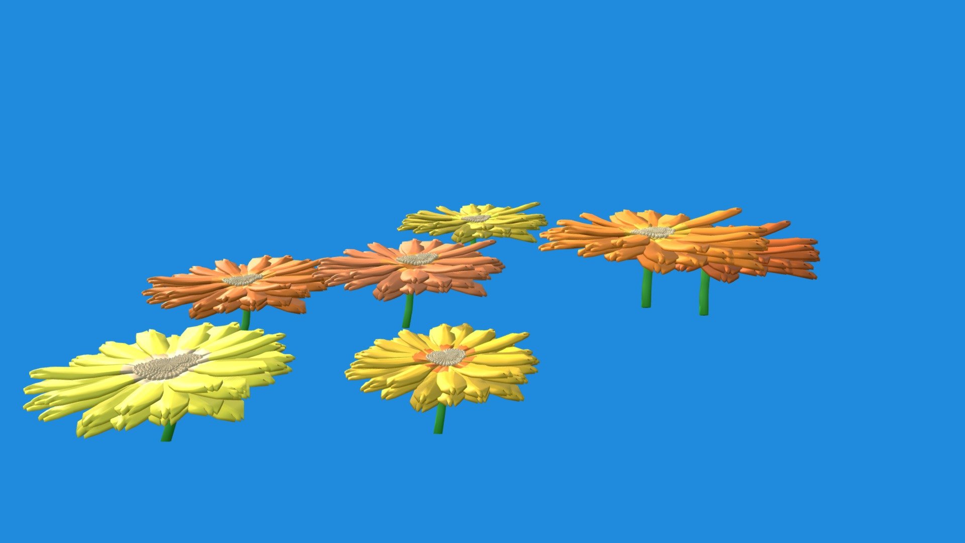 Calendula Per Blender