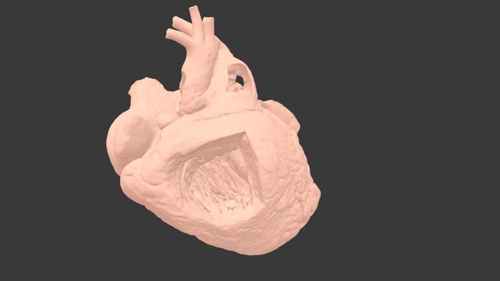 PDA #2 - {S,D,S} with PDA 3D Model