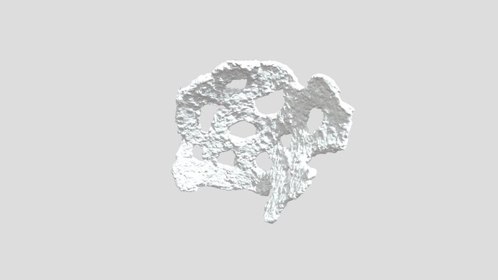 Holes for Unknown Purposes 3D Model