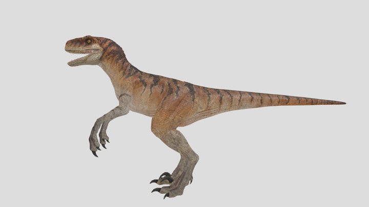 Tiger The Atrociraptor – Modello 3D gratuito STL