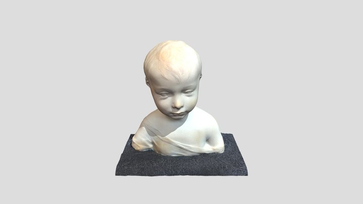 metascan_Test1 3D Model