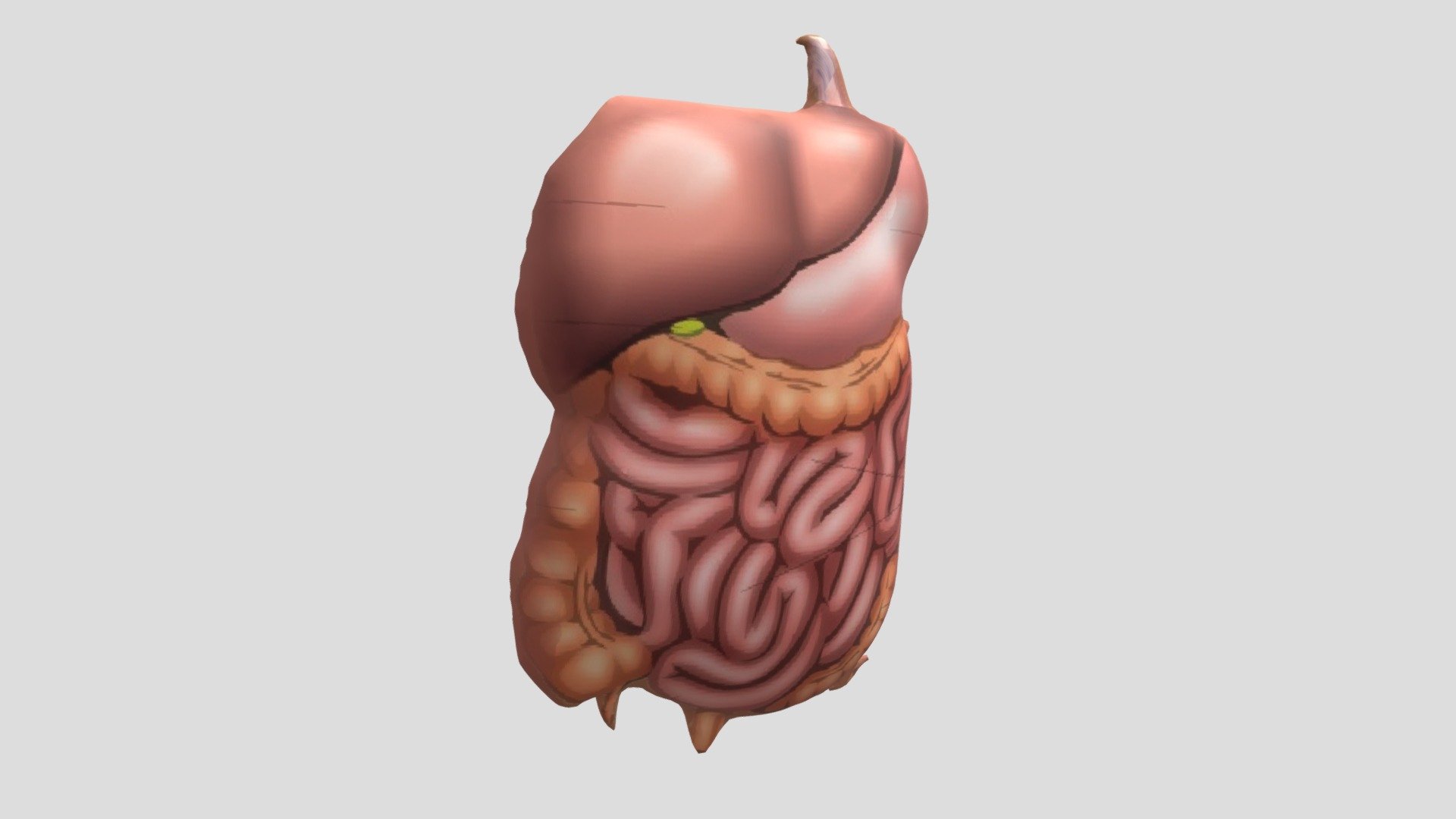 gamabar organ 1 - 3D model by EKAKOMALA [5b8278c] - Sketchfab