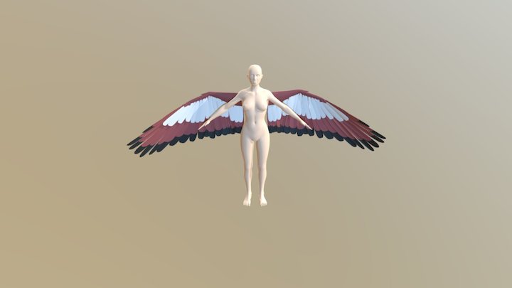 Linnet 3D Model