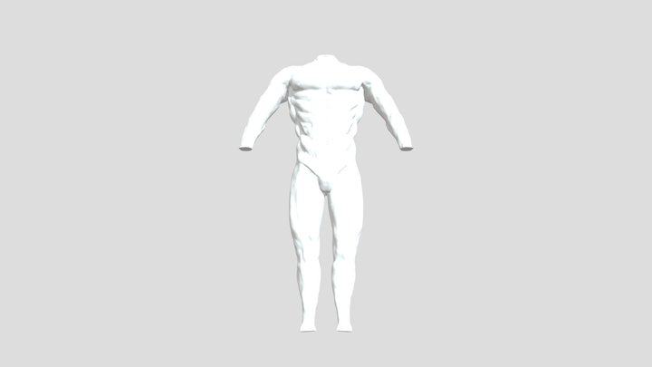 3D Anatomy Konstantins Timofejevs 3D Model