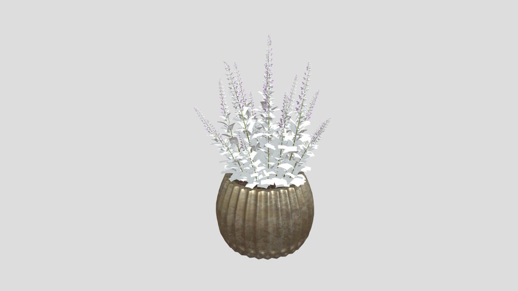 Potted Lavender Flower