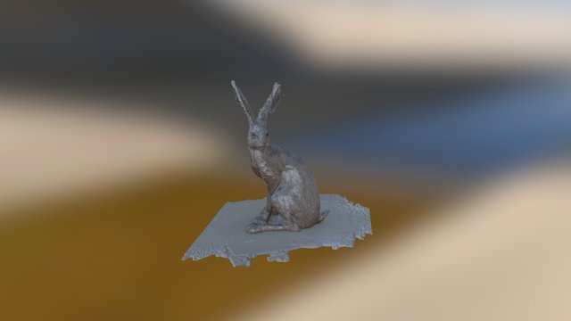 Hare 3D Model