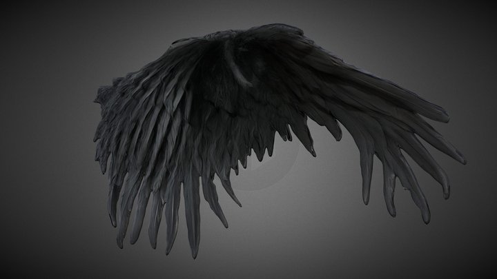 Black Angel Wings 3D Model