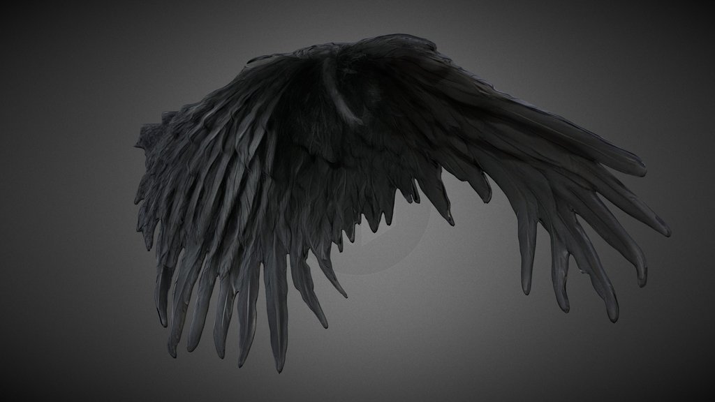 Black Angel Wings