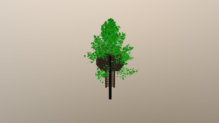 Treehouse4 3D Model