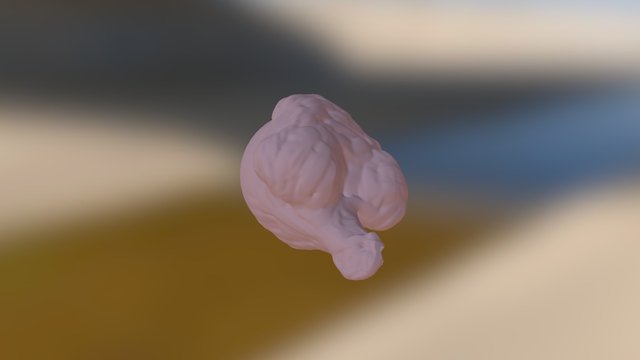 :)) 3D Model