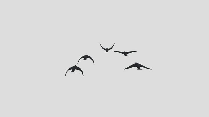 birds 3D Model