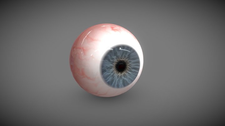 Realistic Eye 3D Model