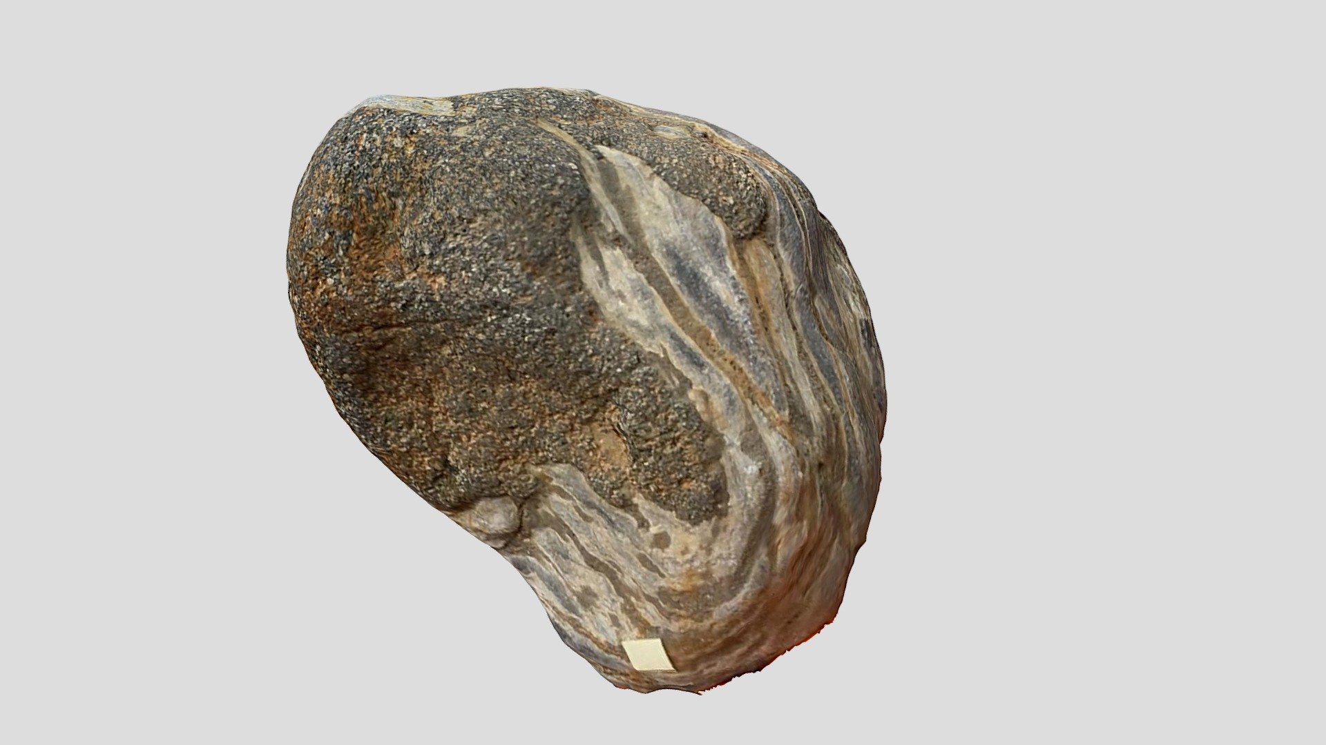 Ruapehu Xenolith