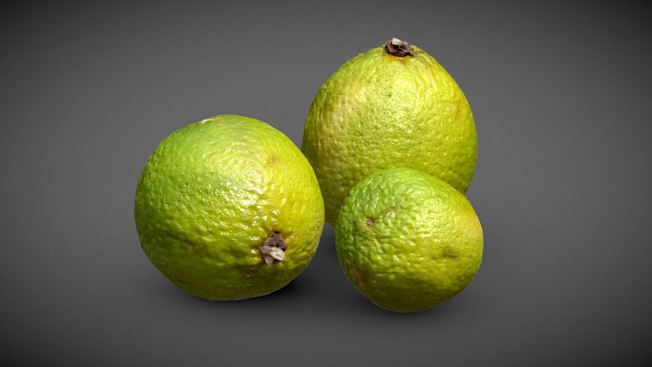 Lime 3D Model