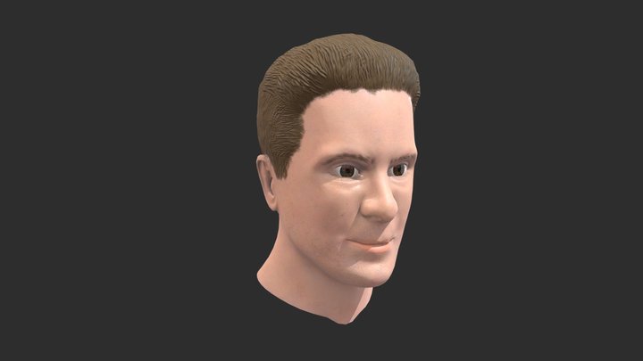 Male Bust 3D Model