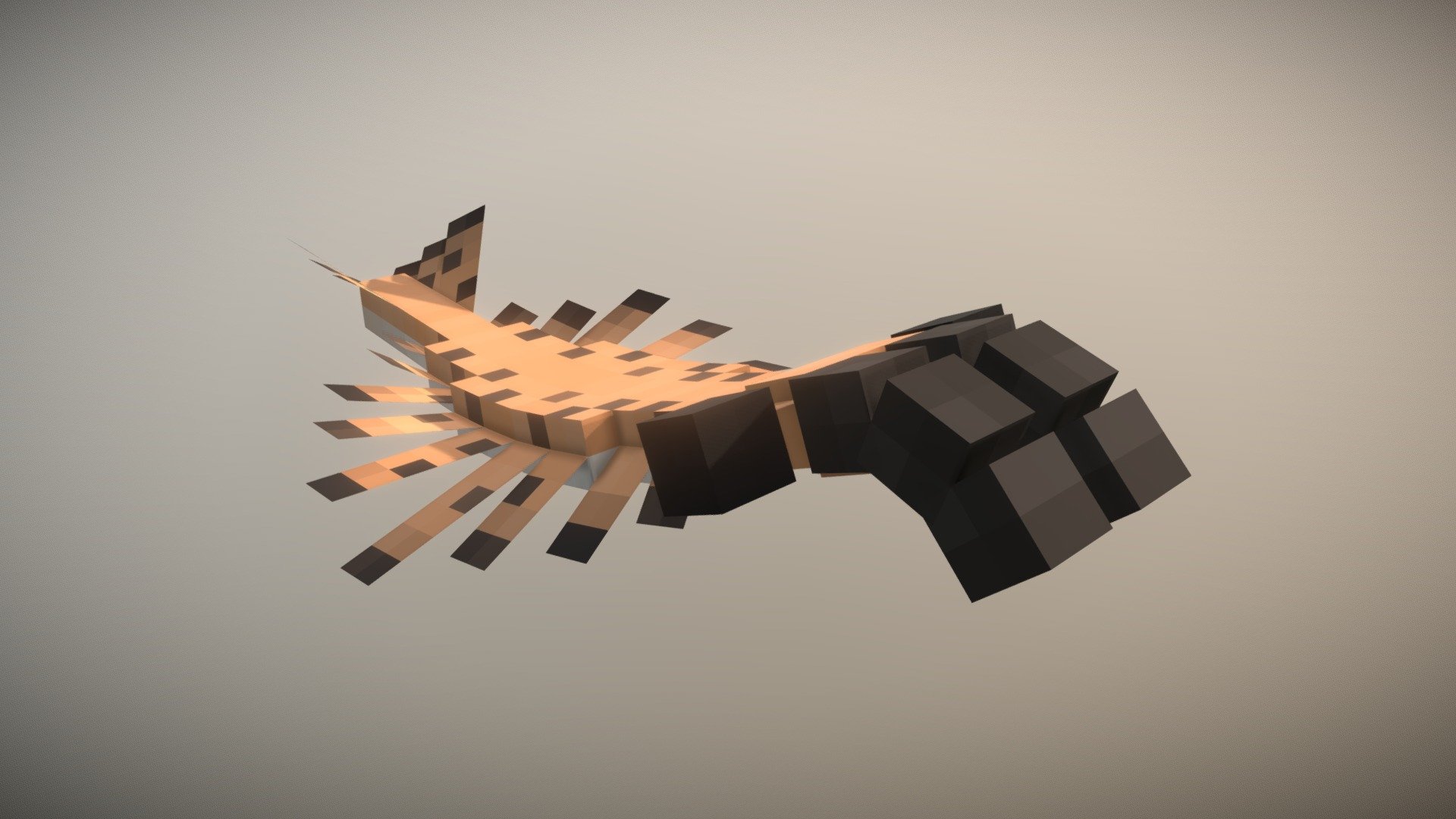 Anomalocaris