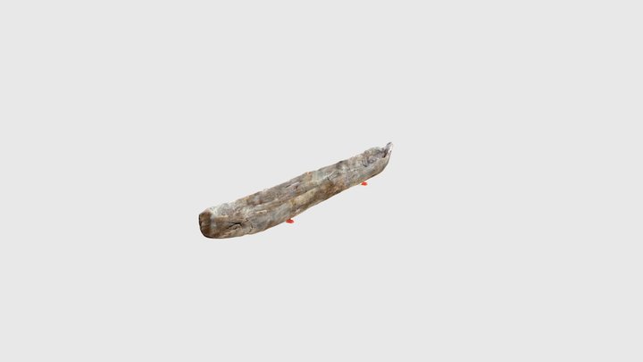 Marinette Historical Society Dugout 3D Model
