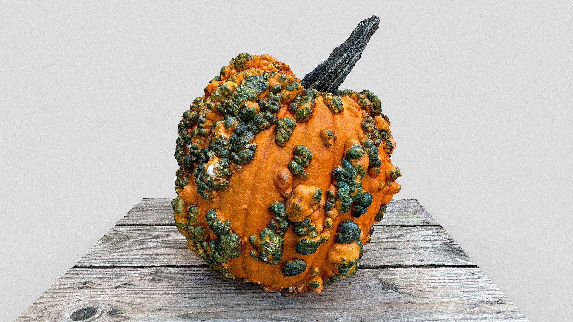 Pumpkin (iPhone12 scan)