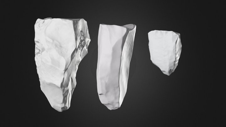 Estadis d'ús de nuclis de sílex_147.000 X3 3D Model