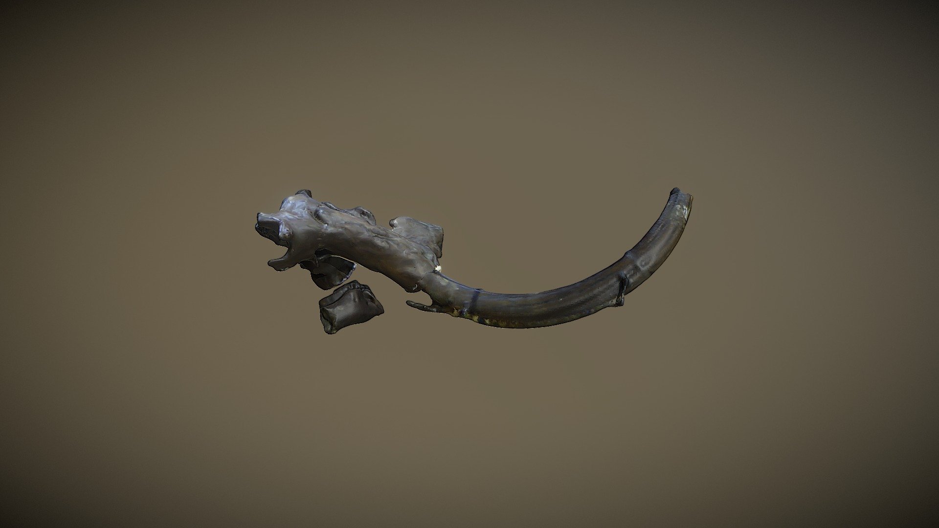 Mamuth Skull