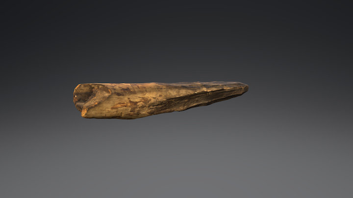 Trapinne 3D Model