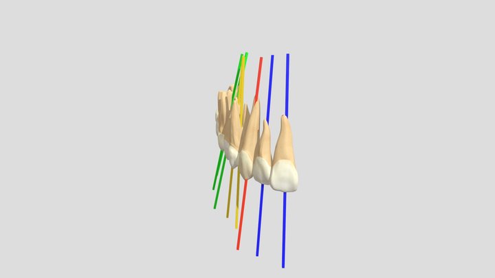2021 - Axes Maxillaires 3D Model