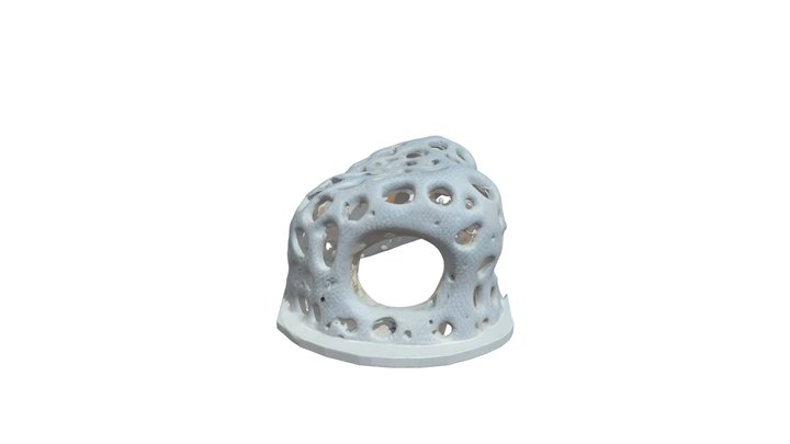 Organic Pavilion Structure 3D Model