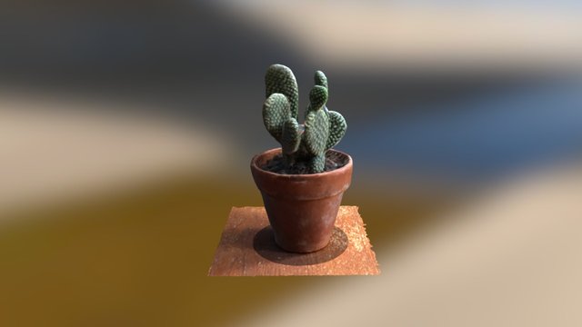 Mickey Cactus 3D Model