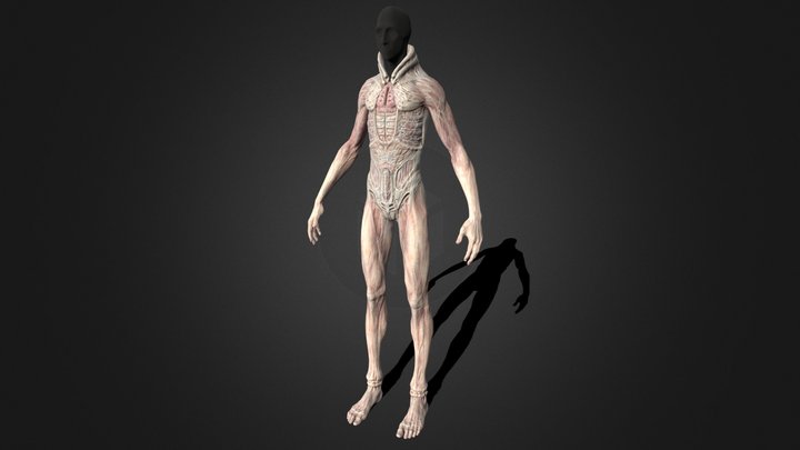 Scornguy