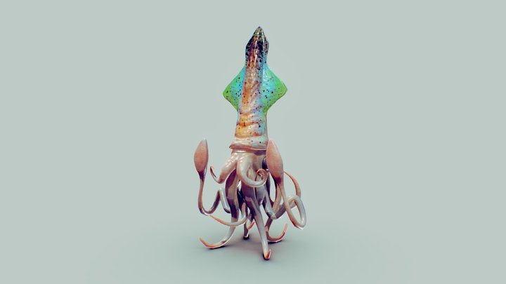 A Squeaky Squid 3D Model