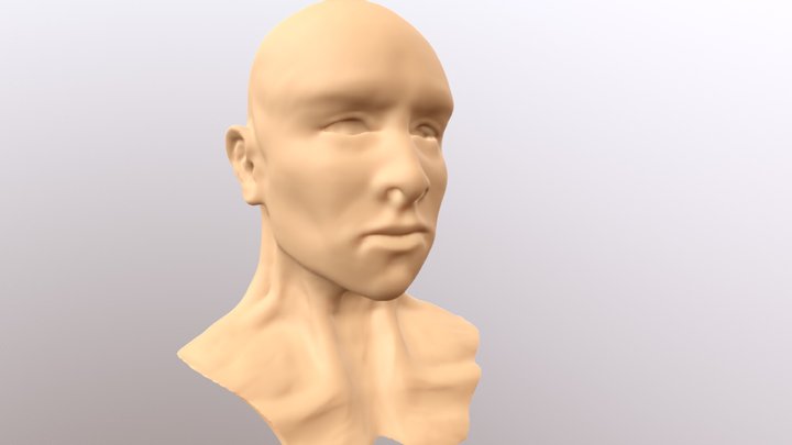 Male Head High-Res Topology 3D Model