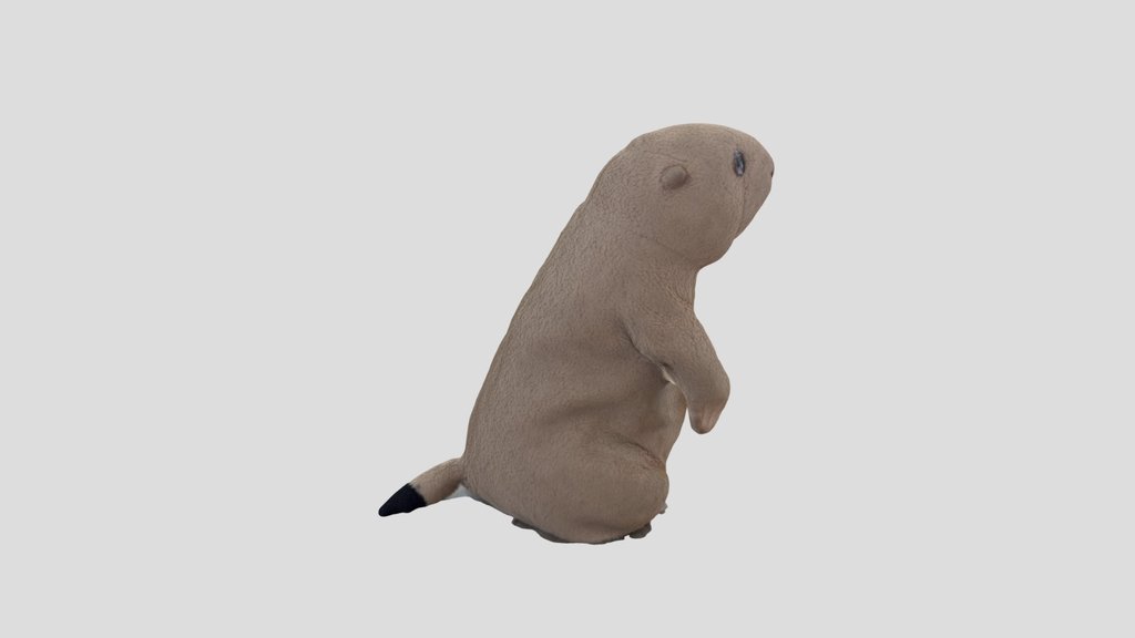 Spermophilus