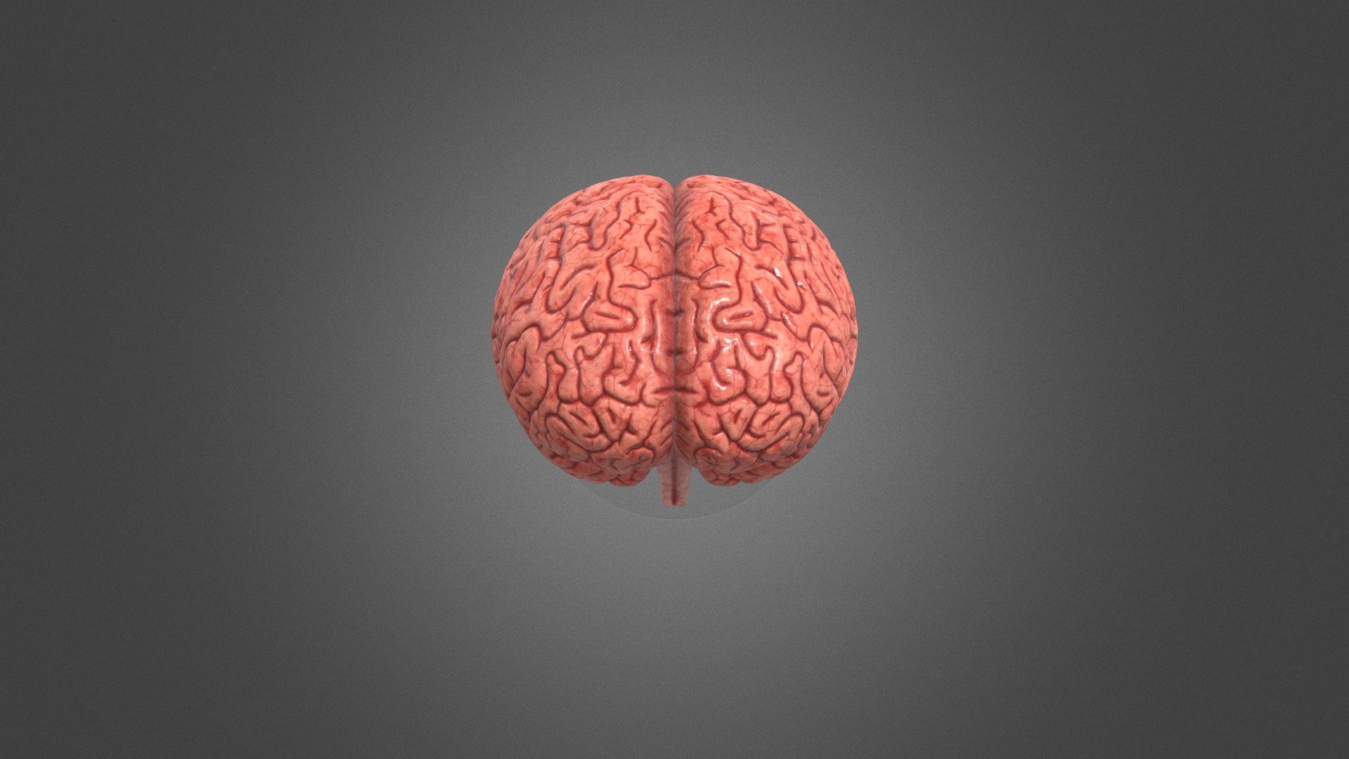 Human Brain - Buy Royalty Free 3D model by Ramanan [5bb9149 ...
