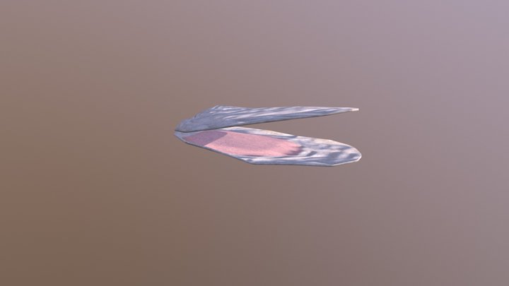 Oyster-ShortAnimation 3D Model
