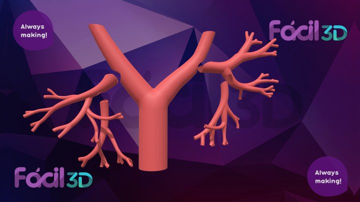 Sección de árbol bronquial para impresión 3D 3D Model