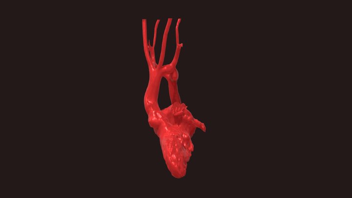 Doble arco 3D Model
