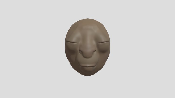 My model 3D Model