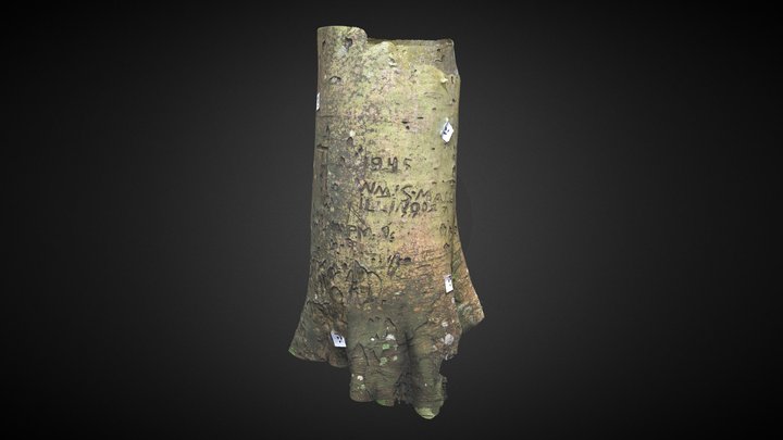 Arbre 1, Tourlaville, Normandie 3D Model