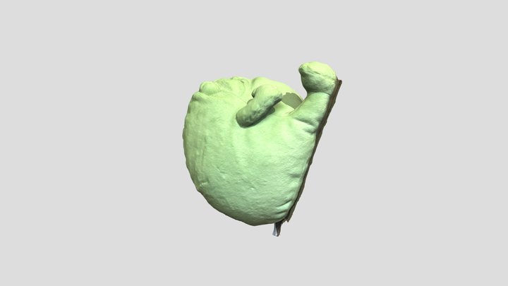 Frog Model 3D Model