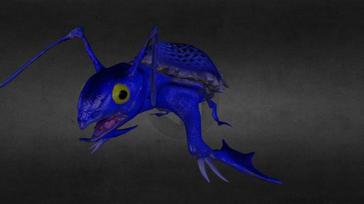 Crab Turtle 3D Model