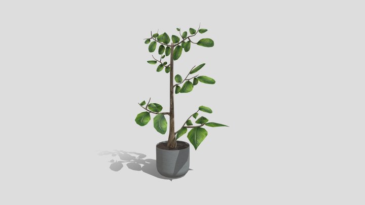 Fake Plant- Week 8 3D Model